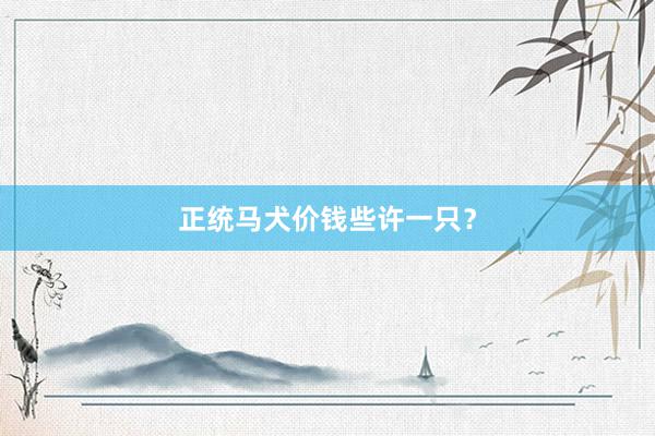 正统马犬价钱些许一只？
